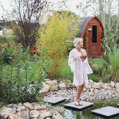 Dragonfly Glamping Spa Retreat 阿什弗德 外观 照片