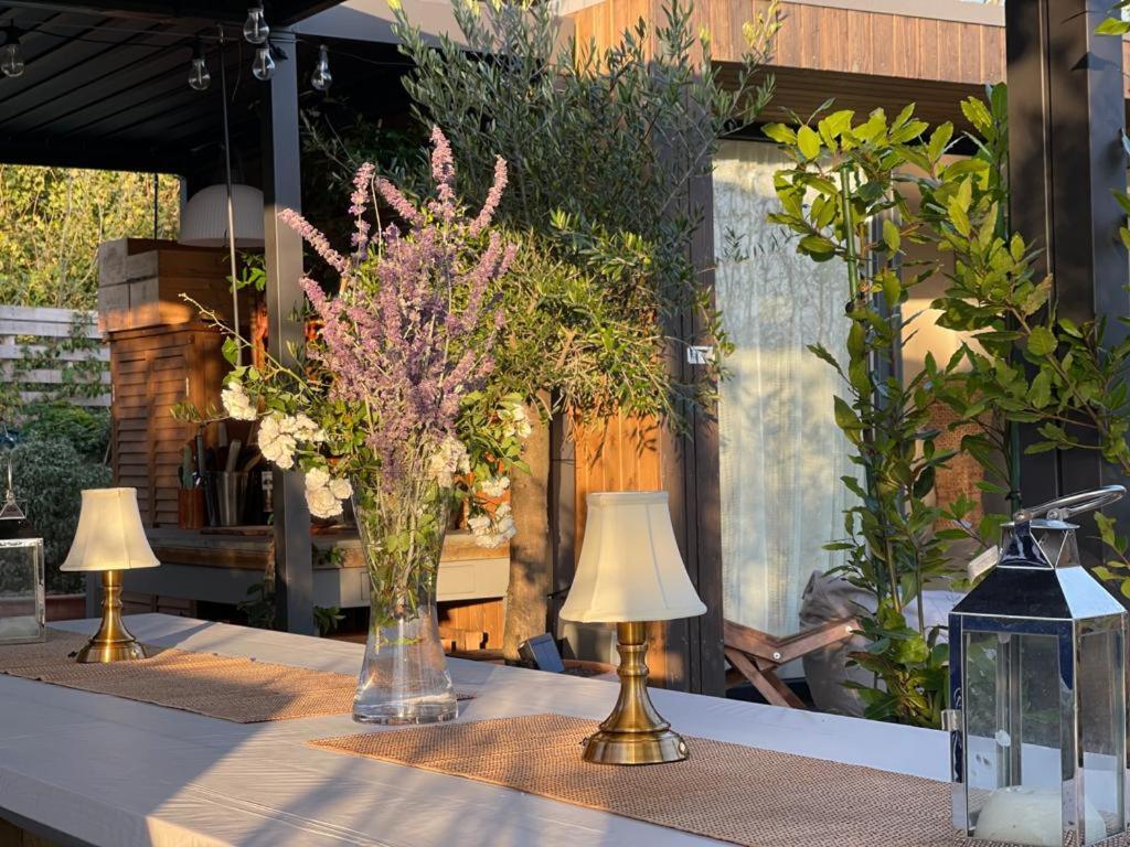 Dragonfly Glamping Spa Retreat 阿什弗德 外观 照片