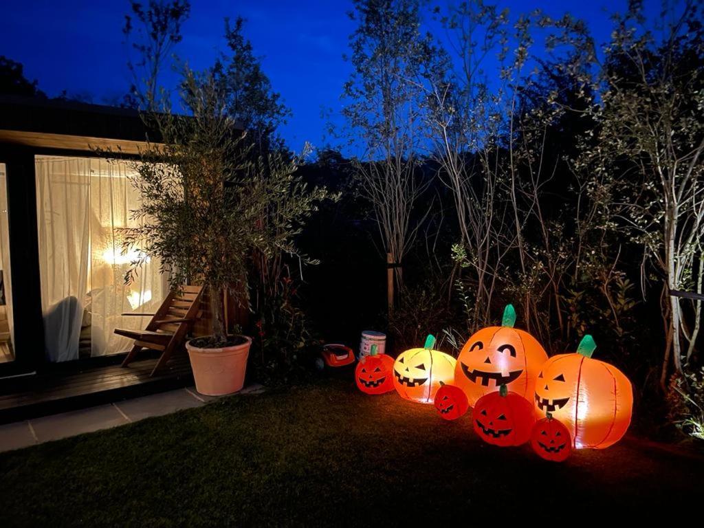 Dragonfly Glamping Spa Retreat 阿什弗德 外观 照片