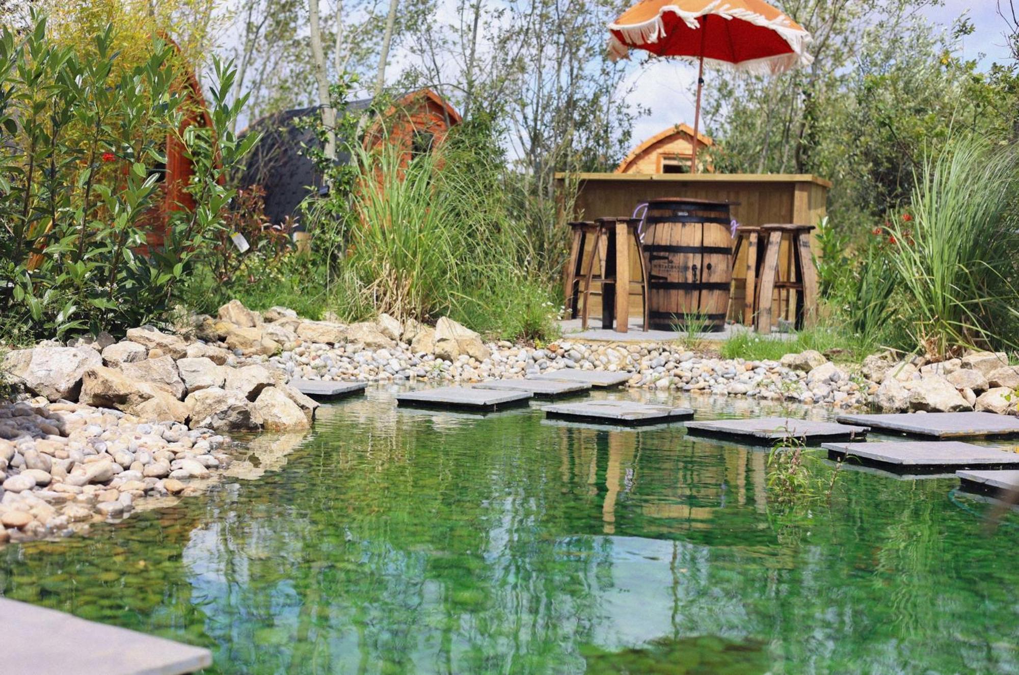 Dragonfly Glamping Spa Retreat 阿什弗德 外观 照片