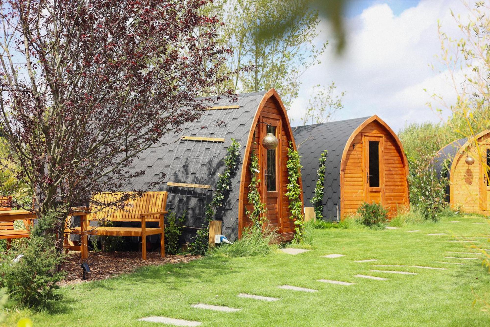 Dragonfly Glamping Spa Retreat 阿什弗德 外观 照片